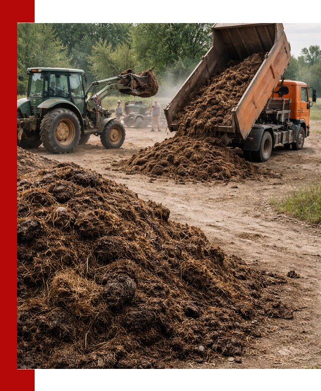 Доставка навоза самосвалами в Балашихе для сельхозпотребностей